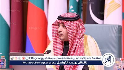 جامعة نايف العربية للعلوم الأمنية تنفذ قرارات مجلس وزراء الداخلية العرب بمؤتمر الإسكندرية 