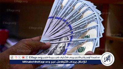 سعر الدولار أمام الجنيه المصري اليوم الثلاثاء 4 فبراير 2025