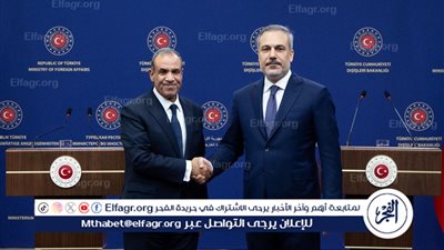 وزير الخارجية يطلع نظيره التركي على الجهود المصرية لوقف إطلاق النار