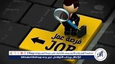 وظائف في مجال البرمجة: فرص عمل عبر موقع 