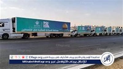 عاجل| دخول 181 شاحنة مساعدات بينها 8 وقود لمعبري العوجة وكرم أبو سالم