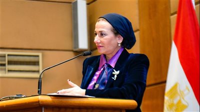 البيئة تنقذ سلحفاة بحرية كبيرة حية بشاطئ النخيل بالإسكندرية