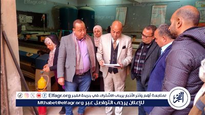 مدير تعليم الدقهلية ومدير المديريات بالوزارة يتابعان مدارس إدارة ميت غمر