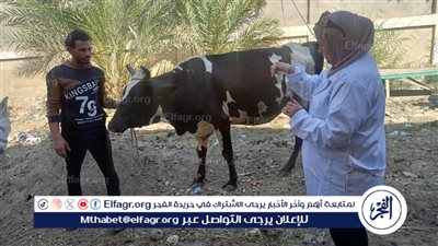 انطلاق الحملة القومية لتحصين الماشية ضد الحمى القلاعية وحمى الوادي المتصدع في محافظة قنا