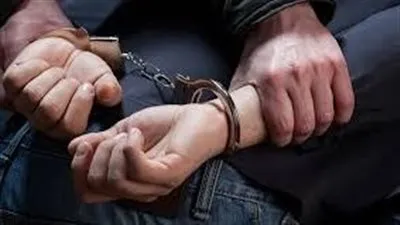 تأييد حكم حبس الراقصة وعد بتهمة نشر فيديوهات خادشة 