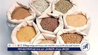 أسعار الأعلاف تشتعل في بني سويف… والمزارعون بين فكي التكلفة وركود السوق”