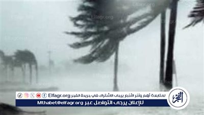 حالة الطقس اليوم الثلاثاء 11 فبراير 2025 في مصر