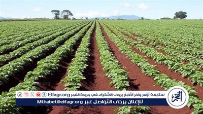 وزير الزراعة: أضفنا 3.5 مليون فدان خلال 3 سنوات.. وتطبيق الدورة الزراعية ليس ممكنًا في كل المناطق