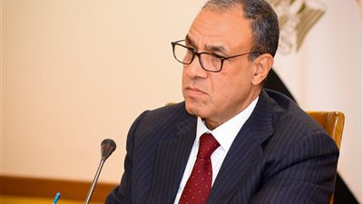 وزير الخارجية يؤكد أهمية تكثيف الجهود الدولية لضمان تنفيذ خطة إعادة إعمار غزة