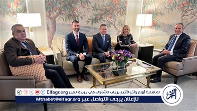 وزير الخارجية يستعرض جهود مصر الحثيثة لتنفيذ اتفاق وقف إطلاق النار بغزة