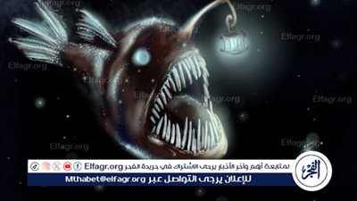 سمكة الشيطان الأسود.. ظهور مرعب في المحيط الأطلسي يثير دهشة العلماء