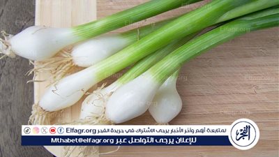 يعزز مناعة الحامل.. فوائد مذهلة للبصل الأخضر لصحة النساء 🌿💚