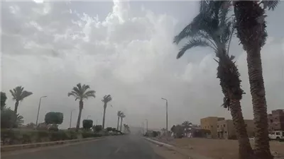 بشرى سارة للمواطنين.. الأرصاد تكشف موعد انتهاء موجة الصقيع 