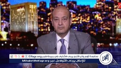 عمرو أديب يوجه نصيحة إلى أبناء محمود عبد العزيز يشأن أزمة بوسي شلبي