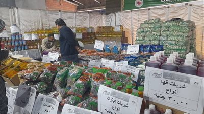 افتتاح معرض 