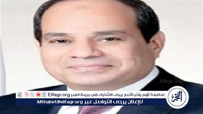 دبلوماسي سابق عن لقاءات الرئيس السيسي المستمرة: تعكس التوجه المحترف للسياسة المصرية 