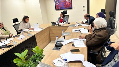 التضامن الاجتماعي ومنظمة العمل الدولية تبحثان سبل تعزيز التعاون لمكافحة عمل الأطفال