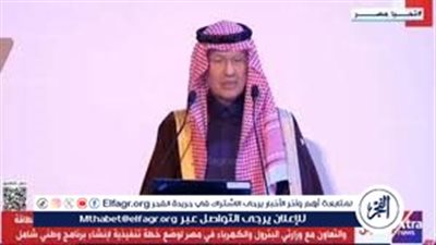 وزير الطاقة السعودي يكشف عن مشروغ ضخم بين مصر وبلاده