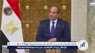 السيسي يُشيد بمواقف إسبانيا بشأن القضايا الراهنة: عادلة وشريفة (فيديو)