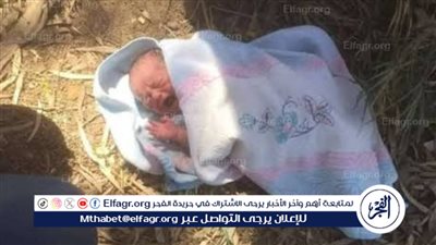 لتضليل الأمن.. رماه وبلغ بالعثور على رضيعًا ملقي بأرض زراعية بالفيوم 