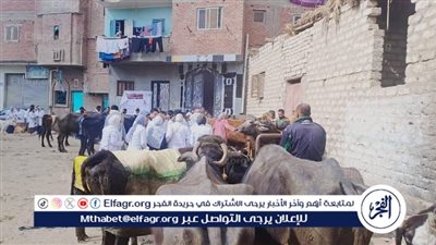 جامعة الفيوم تنظم قافلة بيطرية مجانية بقرية بحر أبو المير التابعة لمركز إطسا