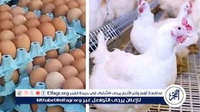 تباين أسعار الدواجن اليوم الجمعة 21 فبراير 2025 في الأسواق المصرية