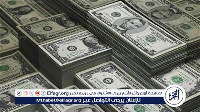 استقرار سعر الدولار أمام الجنيه المصري بمنتصف تعاملات اليوم السبت 22 فبراير 2025