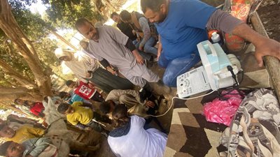 قافلة علاجية مجانية بإسنا لـ بيطري الأقصر ونقابة الأطباء البيطريين 