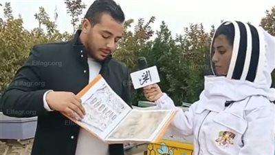 بأحد مناحل الإسكندرية.. رحلة داخل عالم النحل بين كنوز العسل وأسرار العلاج بلسعاته
