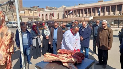 محافظ الدقهلية: انطلاق قافلة سيارات بيع اللحوم الطازجة بأسعار مخفضة بمركز أجا 
