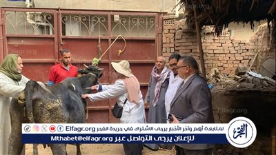 تحصين أكثر من 133 ألف رأس أبقار وأغنام ضد مرض الجلد العقدي وجدري الأغنام بالدقهلية