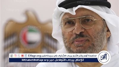  المستشار الرئاسي الإماراتي يوضح سياسة 