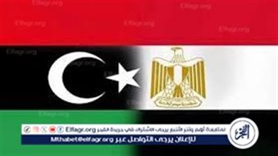 أستاذ علاقات دولية: مصر تسعى لإنهاء الجمود السياسي في الداخل الليبي