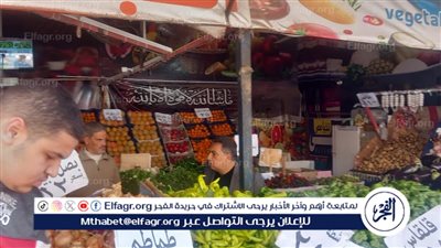 محافظ الدقهلية يتفقد منافذ بيع السلع والمخابز وحالة الخدمات خلال جولتة الصباحية بالمنصورة والقرى