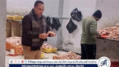 محافظ المنيا: تحرير 361 محضرًا تموينيًا، ويؤكد استمرار الحملات التموينية خلال شهر رمضان المعظم