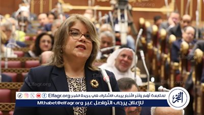 وكيل مجلس الشيوخ: دعم الصادرات ركيزة أساسية لتحقيق تنمية اقتصادية شاملة