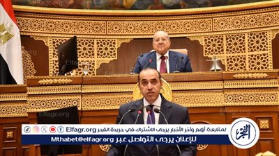 فوزي: طلب الإحاطة يُناقش بحضور الوزير المختص والدور الرقابي لا يُمارس بالنيابة