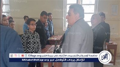 محافظ الدقهلية في جوله ميدانية بالمنصورة يتفقد الحالة العامة بالشوارع ومدرسة بن لقمان