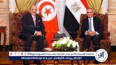 عاجل| وزير الخارجية يؤكد لنظيره التونسي رفض أية إجراءات تستهدف تهجير الشعب الفلسطيني