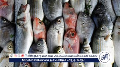 أسعار الأسماك والجمبري بسوق العبور اليوم الاثنين 3 مارس 2025