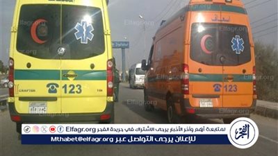 فاجعة على ساحل قارون: مصرع شابين في حادث تصادم بالفيوم