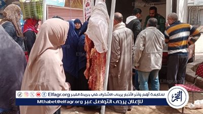 محافظ الدقهلية: قافلة سيارات بيع اللحوم بسعر 260 جنيه للكيلو اليوم بمركز ميت غمر 