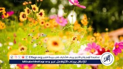 الربيع يطرق الأبواب رسميًا في 20 مارس 2025