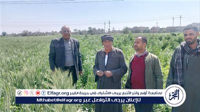 وكيل وزارة الزراعة بأسيوط يتفقد زراعات المحاصيل الشتوية بمركزى أبنوب والفتح