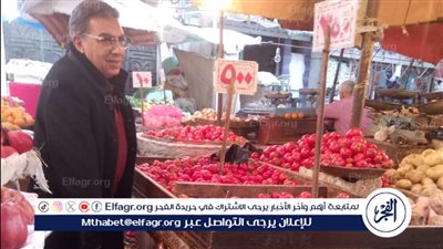 محافظ الدقهلية في سوق كفر البدماص بالمنصورة منفردا للتعرف على الأسعار: سأراجع بنفسي أسعار المنافذ يوميا