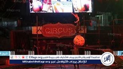 إحالة 4 مسؤولين بالسيرك القومي إلى المحاكمة التأديبية في واقعة 