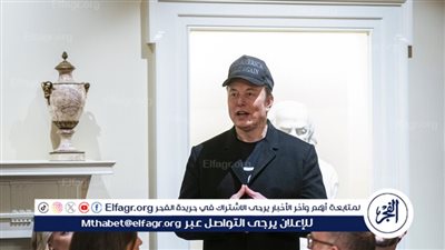 ماسك يعلق على منع جورجيسكو من المشاركة في الانتخابات في رومانيا