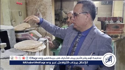 محافظ الدقهلية: ضبط أكثر من 2 طن ملح وذرة وسلع متنوعة وتحرير 299 مخالفة 