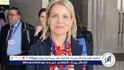 مدير المركز الفرنسي: خطة مصر لإعمار غزة 