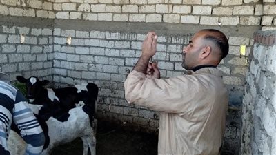 سقط في بئر.. العناية الإلهية تنقذ رئيس قسم الطب الوقائي ببورسعيد